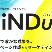 BiNDup_logotop