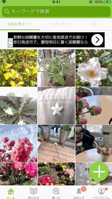 トップページ「GreenSnap」ガーデニングも失敗しない！写真から植物名も育て方もわかるアプリ