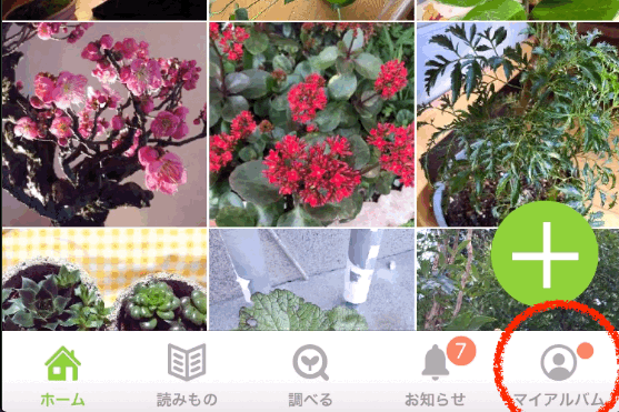 マイアルバム「GreenSnap」ガーデニングも失敗しない！写真から植物名も育て方もわかるアプリ